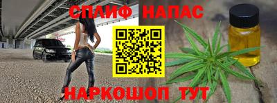 ешки Можга