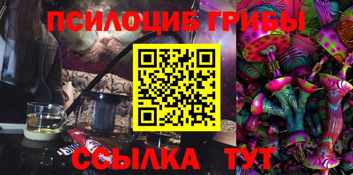 Псилоцибиновые грибы мицелий Унеча