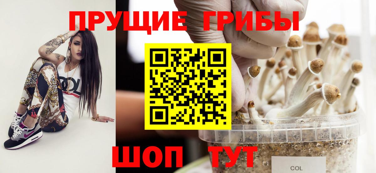Унеча  Псилоцибиновые грибы Cubensis  Вход с VPN  Псилоцибиновые грибы Psilocybe 
